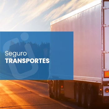 <p><strong>Segurança</strong> para sua carga seja na terra, no mar ou no ar!</p>
